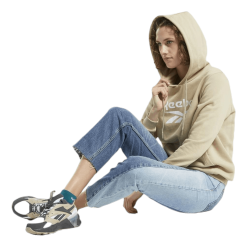 Reebok Classic Cl F Big Logo Hoodie Ft Beige -Billig Jakker butikk 003 20709424e07949a88dba4746d558965f