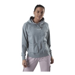 Nike Nsw Swoosh Hoodie Ft Grey