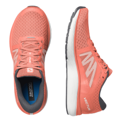 Salomon Vectur Red -Billig Jakker butikk 09467 72 007