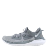 Nike Flex 2019 Run White/Grey