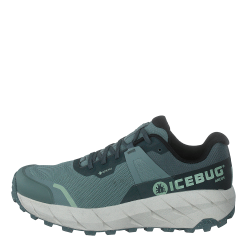 Icebug Arcus W Rb9x Gtx Green/stone