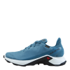 Salomon Alphacross 3 Gtx W Bluestone/wht/mallard Blue