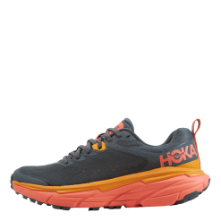 Hoka One One W Challenger Atr 6 Castlerock / Camellia